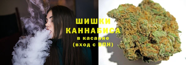 метадон Касимов