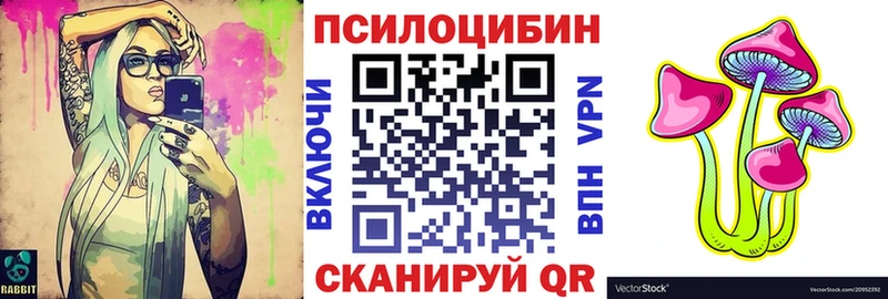 Купить  Белозерск  Псилоцибиновые грибы Psilocybine cubensis 